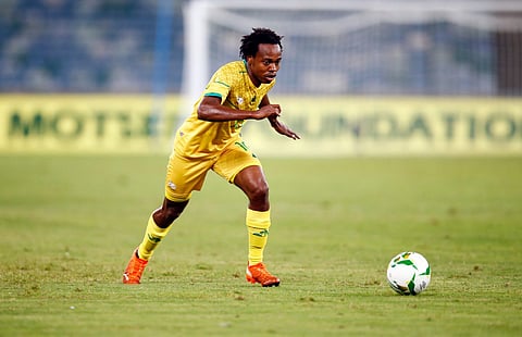 بيرسي تاو - جنوب أفريقيا