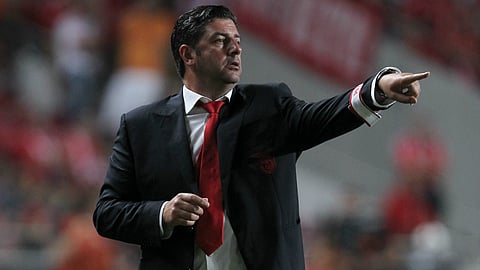 روي فيتوريا