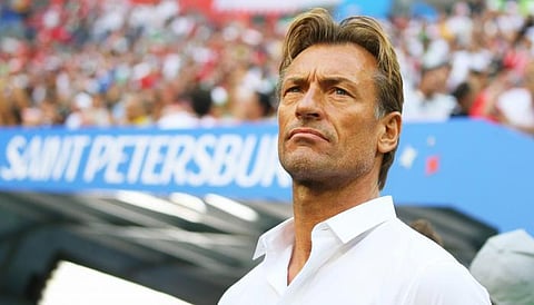 هيرفي رينارد