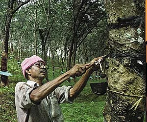 import duty on rubber in india