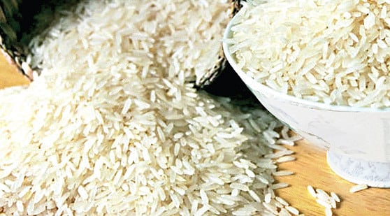 New ICMR basmati rice varieties draw criticism from environmentalists - Vimarsana News