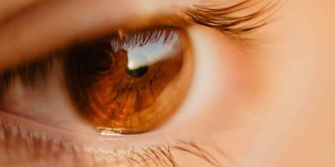 શાળામાં બે બાળકો વચ્ચે ઝઘડો, એક બાળકે આંખોની રોશની ગુમાવી, FIR દાખલ 3 Rs 2 lakh relief to boy who lost vision due to school's negligence