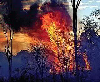 Helicopters came in handy to douse the raging fire at Bandipur| Express