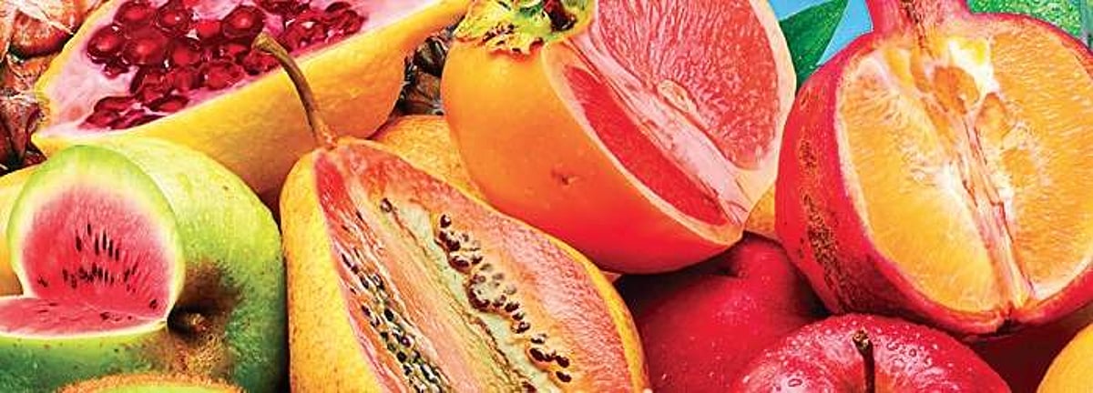 Avoid protein supplements, restrict salt intake, minimise sugar & ultra-processed foods, urges ICMR guidelines Avoid protein supplements, restrict salt intake, minimise sugar & ultra-processed foods, urges ICMR guidelines