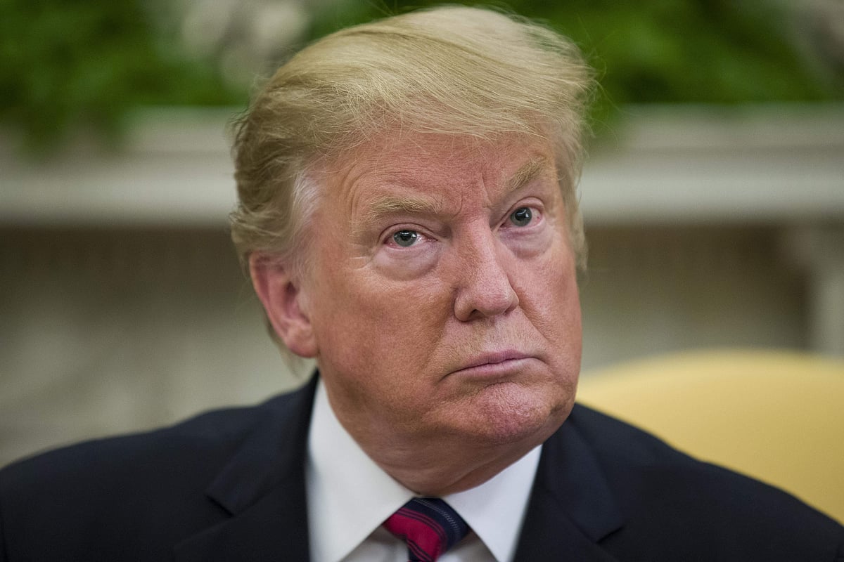 adidas donald trump