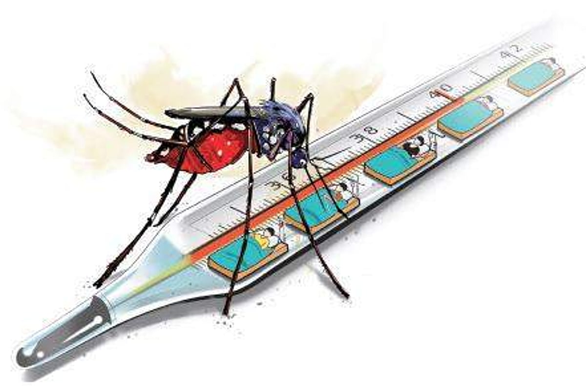 ‘Global drive against malaria slows down, need to address stark inequities’: WHO ‘Global drive against malaria slows down, need to address stark inequities’: WHO