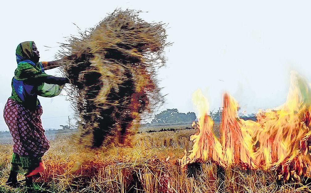Punjab's Stubble Burning Reduced by 70 Percent