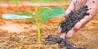 Micro compost centres in Dindigul corpn offer 673 tonnes of manure for