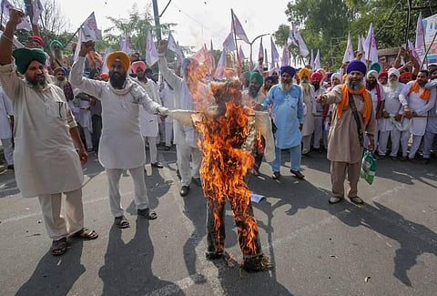 Members of various farmers' organizations burn an effigy during a protest over agriculture related ordinances in Amritsar. (Photo | PTI)