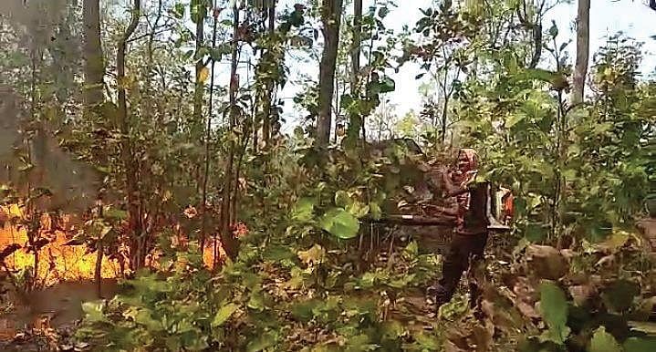 The villages have been identified on the basis of repeat forest fire alarms received in the last three years.