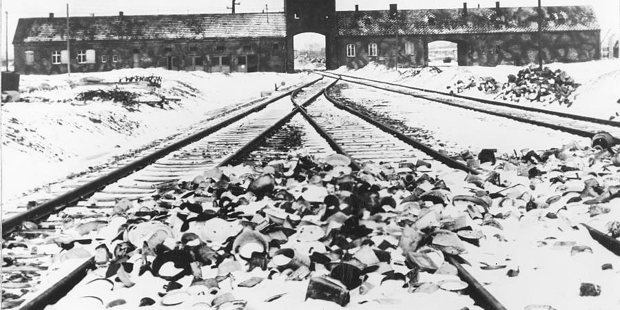 World marks 80th anniversary of Auschwitz liberation