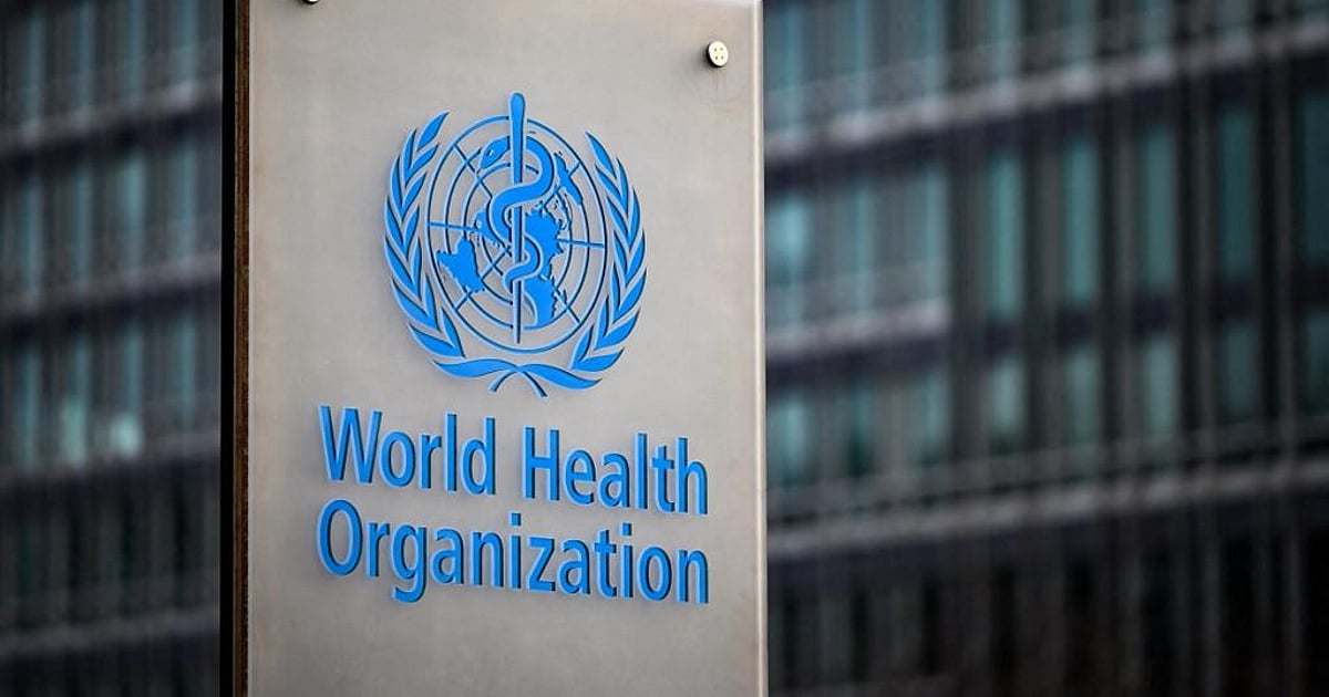 WHO urges sustained immunisation efforts on World Polio Day to mitigate polio risk WHO urges sustained immunisation efforts on World Polio Day to mitigate polio risk