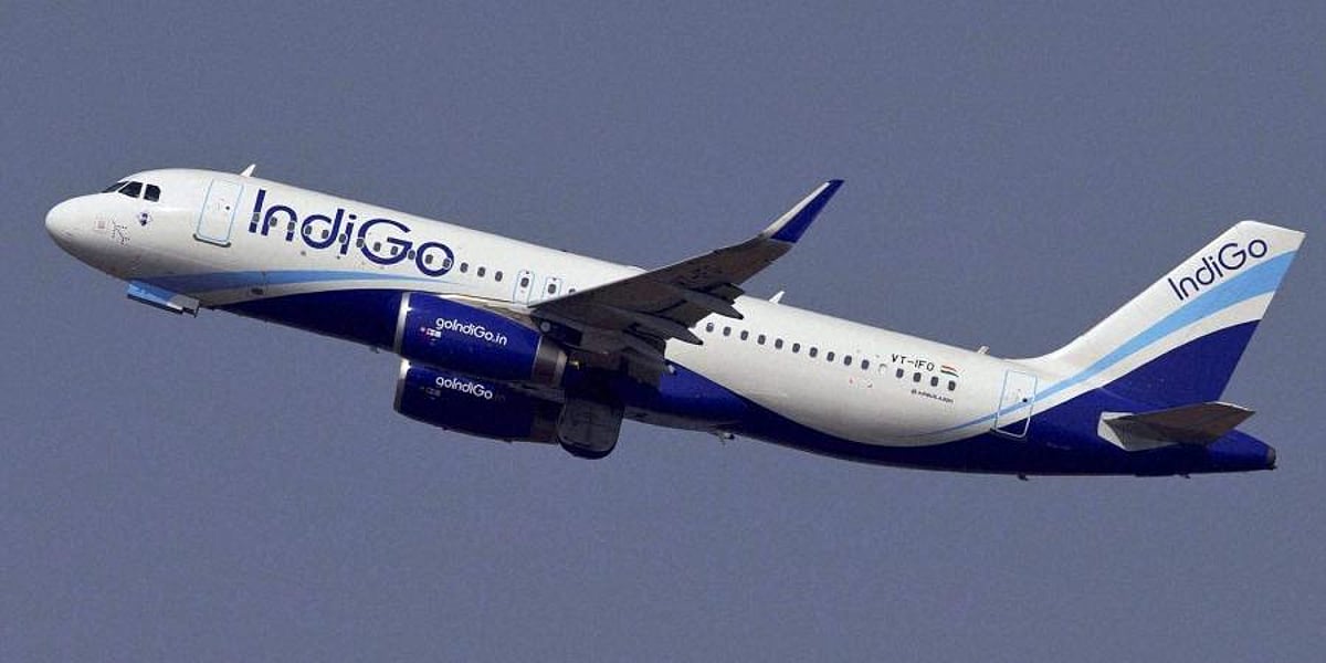 Operate more international flight services from vijayawada, andhra pradesh chambers urges indigo