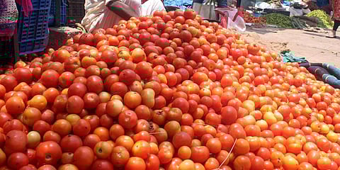 Image used for representational purpose. (Photo | EPS)