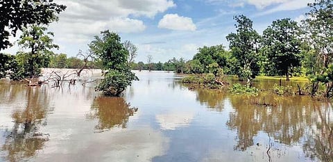 Venganna Cheruvu is one of the two water bodies being proposed for development as eco-tourism spots in Nirmal district.