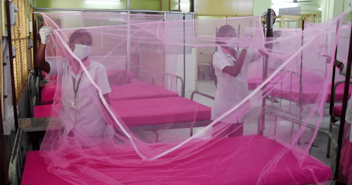 First dengue bout can be as severe as secondary infection, India study finds First dengue bout can be as severe as secondary infection, India study finds