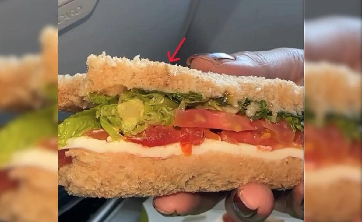 IndiGo passenger finds worm in sandwich.