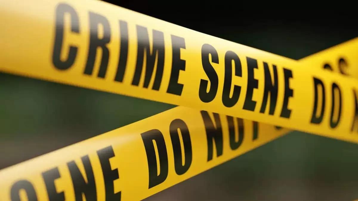 Left unattended post accident, 2 elderly morning strollers die