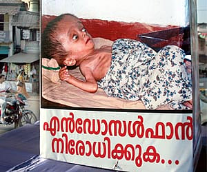 1,031 people do not fulfil endosulfan victim criteria: National Health ...