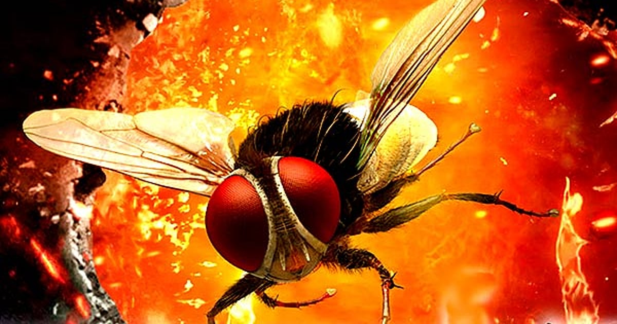 Producer of multilingual superhit ‘Eega’ issues copyright infringement notice to Malayalam movie ‘Lovely’