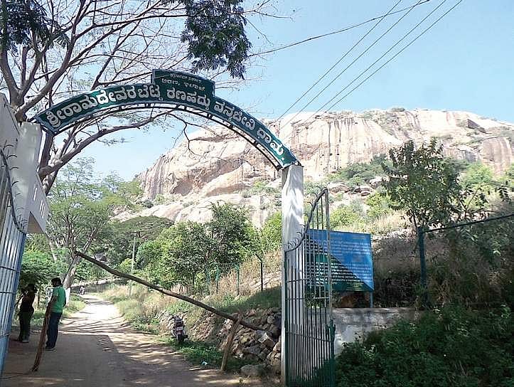 Ramadevarabetta Vulture Sanctuary is now an eco-sensitive zone