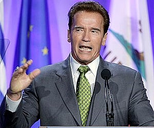 Arnold Schwarzenegger denies Senate run rumours(01)