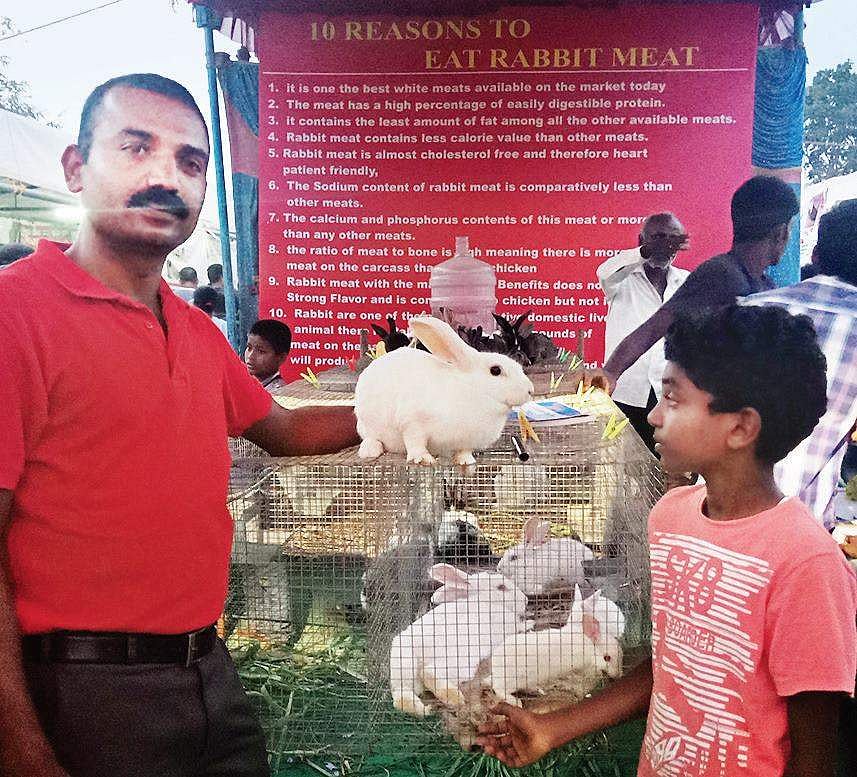 Rabbit farmer sees ray of hope at Krishi Mela