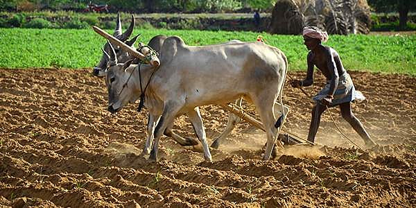 Govt plans to launch Rs 750 crore fund to promote startups and rural enterprises