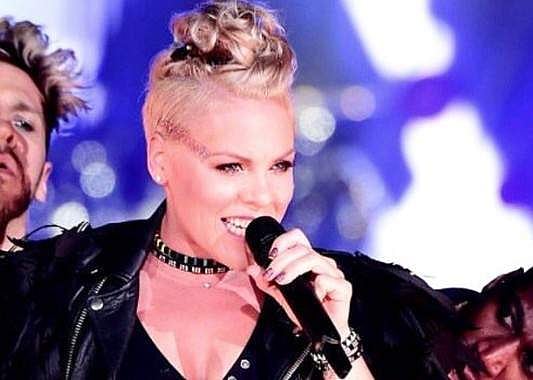 Singer Pink postpones Detroit concert due to flu