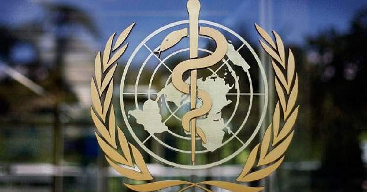 Global Health Crisis Worsens: Conflict, Climate Change, Epidemics, and Displacement on the Rise