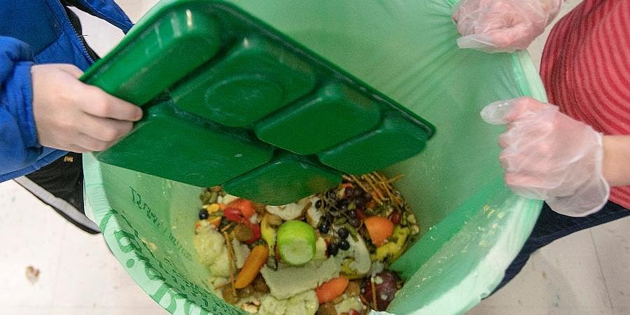 Households Waste 1 Billion Meals Daily, Exacerbating Global Hunger and Climate Change