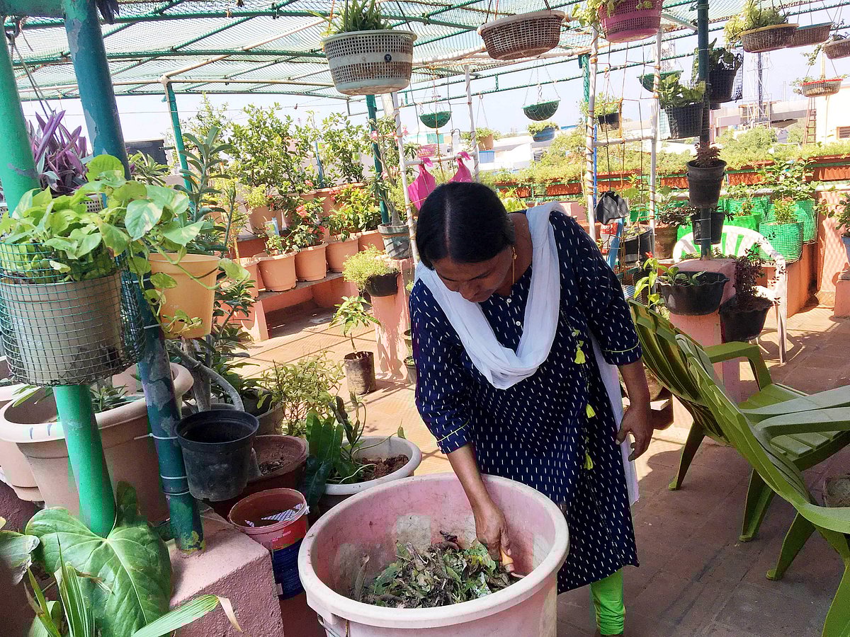 Regular auditing of micro-compost centres will improve waste management ...