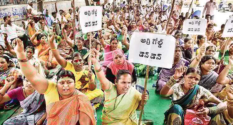 TS HC transfers AgriGold cases to spl court in Eluru