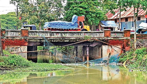 Devi river