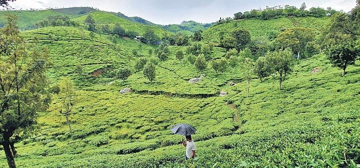 Hullada in Nilgiris selected as one of best tourist villages by central ...
