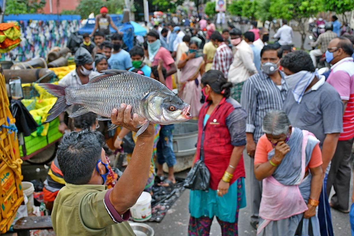 Begum Bazar fish market gets facelift, set to open today