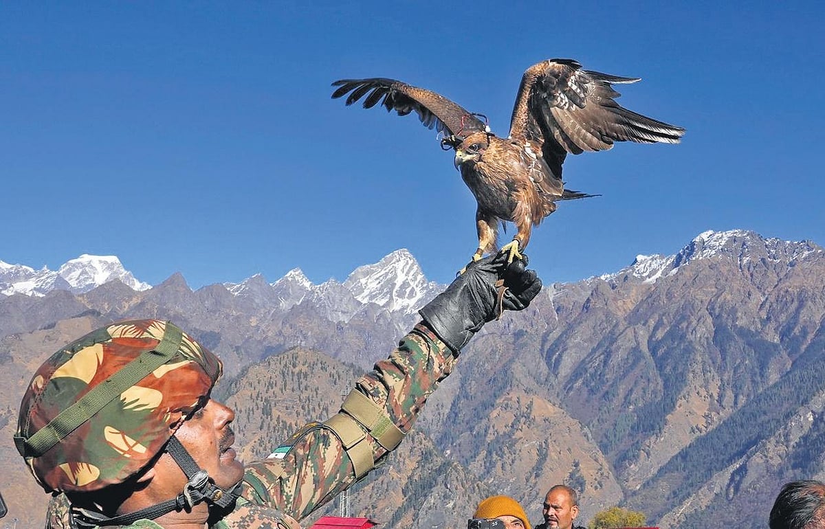 Kites to dogs, how forces tackle enemy drones