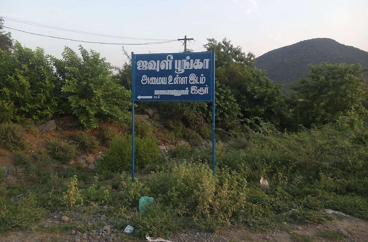 Padalur textile park in limbo for a decade, Perambalur farmers pin ...