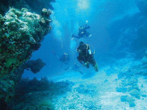 Siblings from Bengaluru world’s youngest certified scuba divers