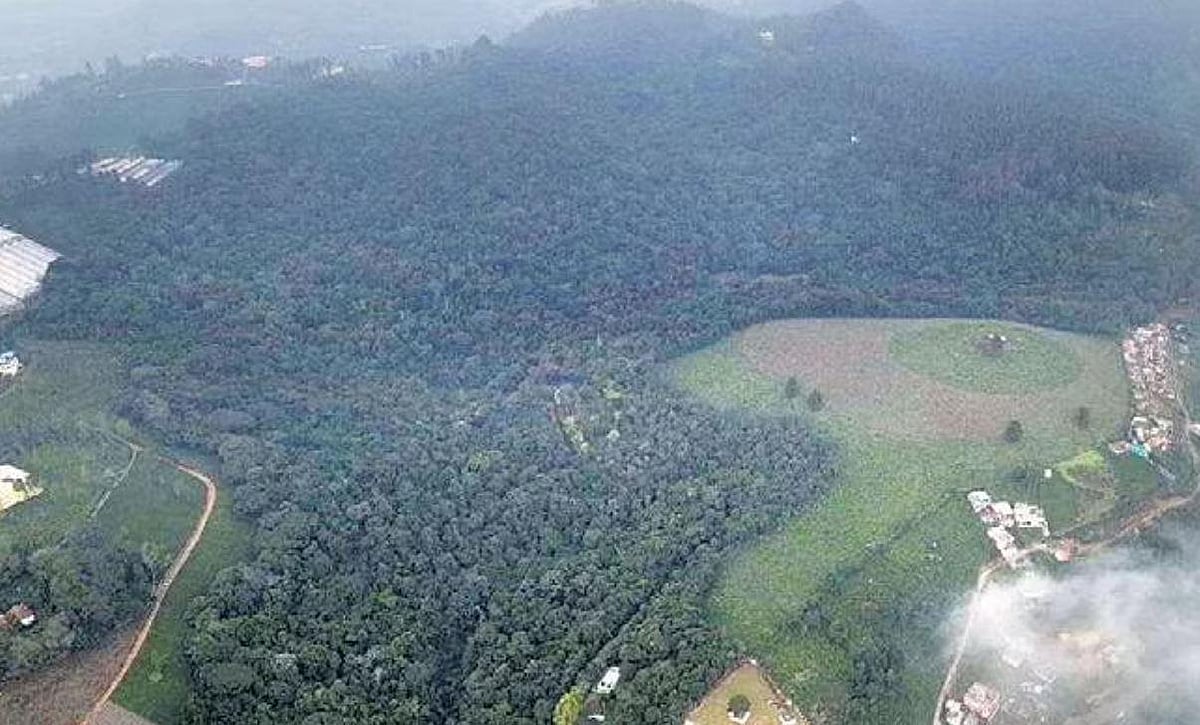 No buildings at Longwood Shola Forest Nilgiris forest division officials