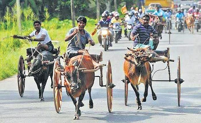 Tamil Nadu: Man dies after rekla cart ‘practising for race’ hits two ...