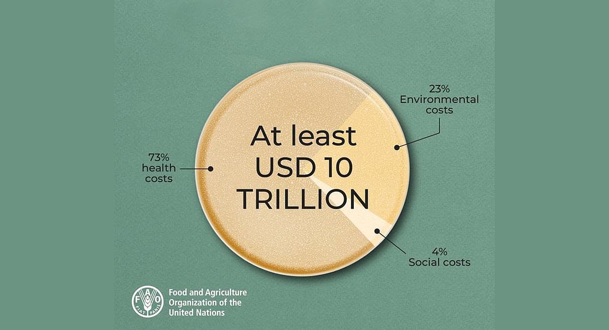 Unhealthy food adding $7.3 trillion in hidden costs to global economy, finds UN body
