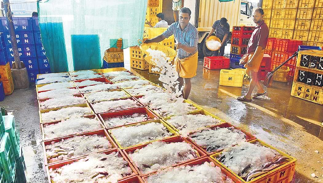 Aqua sector in Andhra Pradesh poised to attract more investments