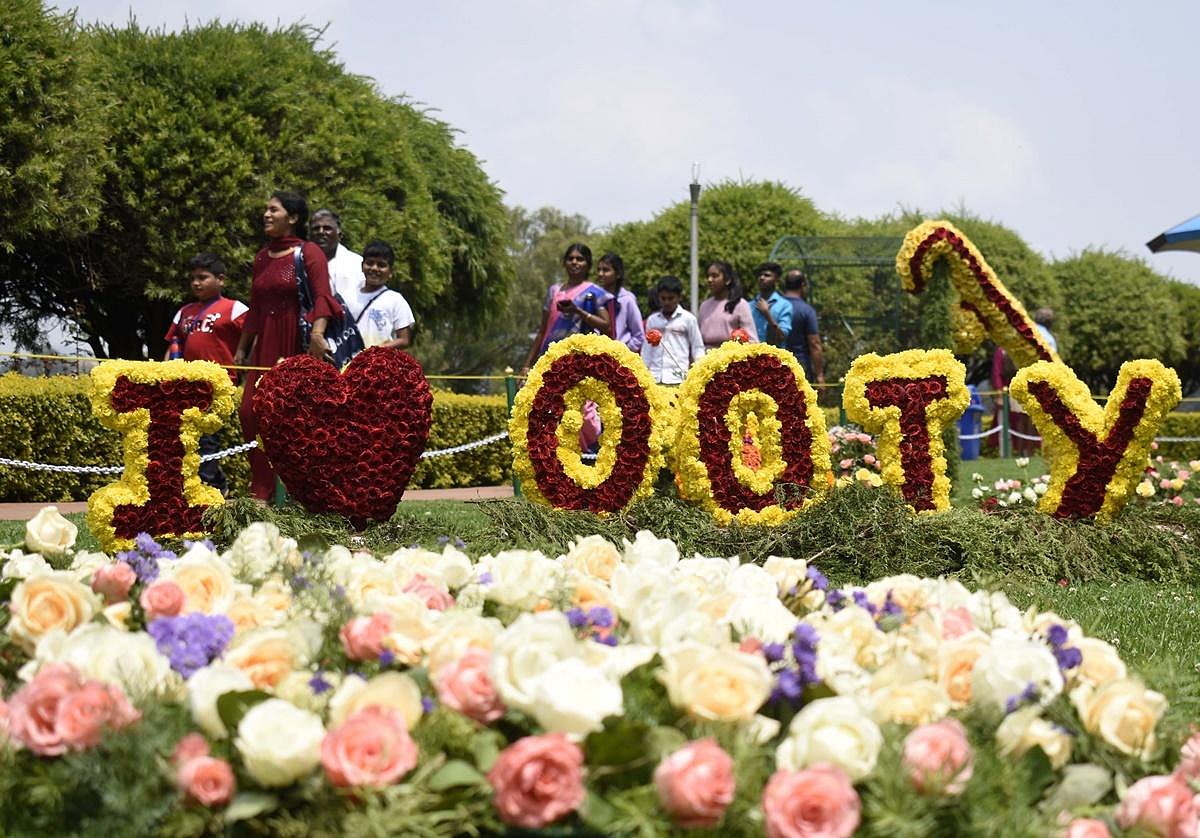 18th rose show begins in Nilgiris