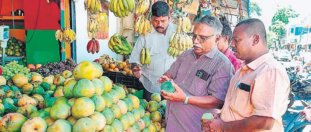 30 tonnes of mangoes arrive for Karaikal fest in Tamil Nadu
