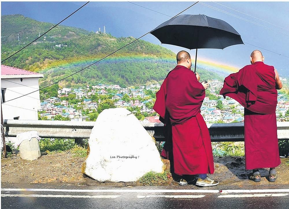 Dharamkot diaries
