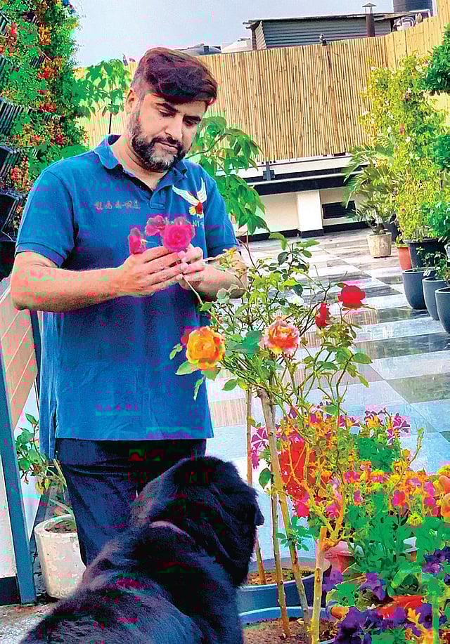 Chef Suvir Saran on peace of chaos, recovering health wise, and ...