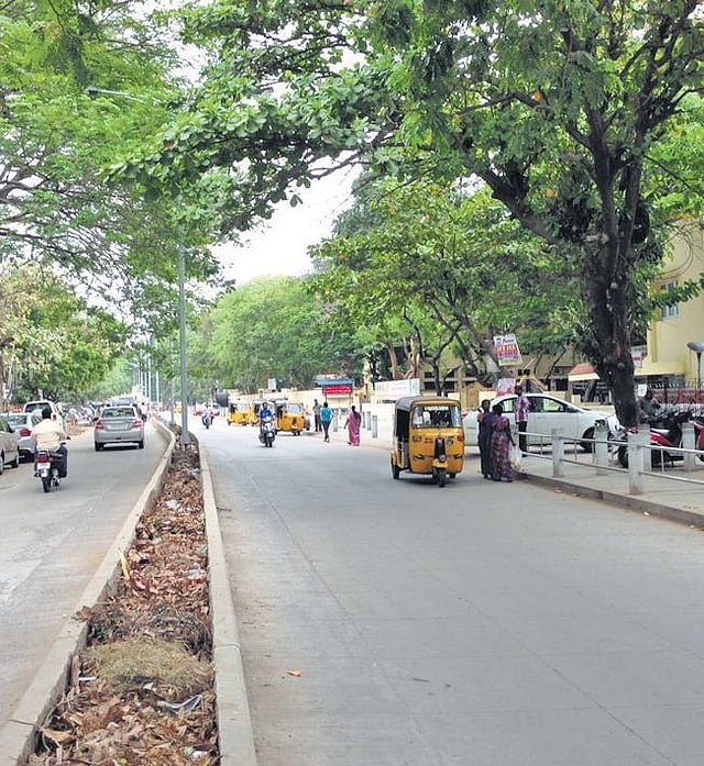 Hidden tales of Chennai's Harrington Road