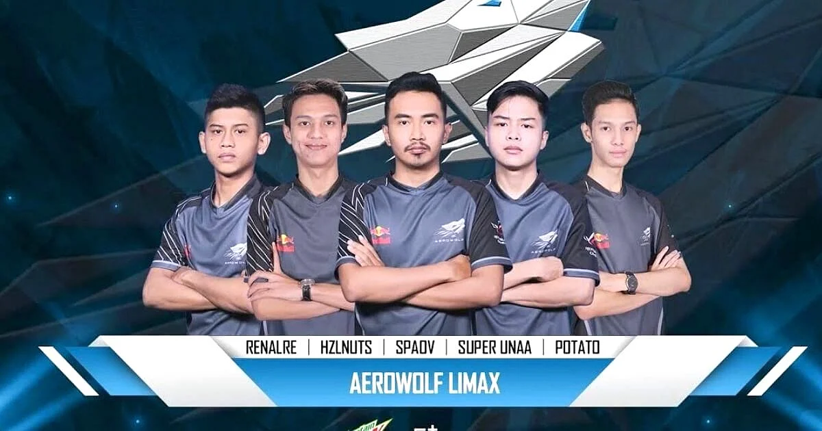 <div class="paragraphs"><p>Aerowolf LIMAX - Indonesian PUBG Mobile Team</p></div>