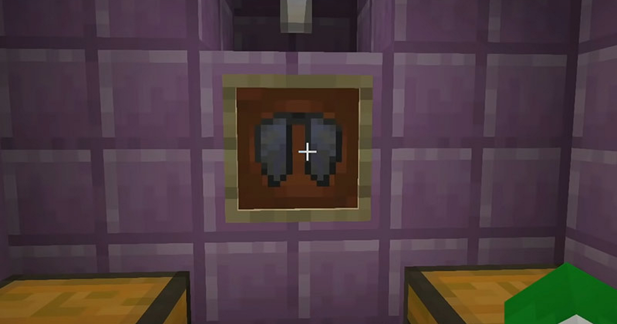 <div class="paragraphs"><p>Elytra in Minecraft</p></div>